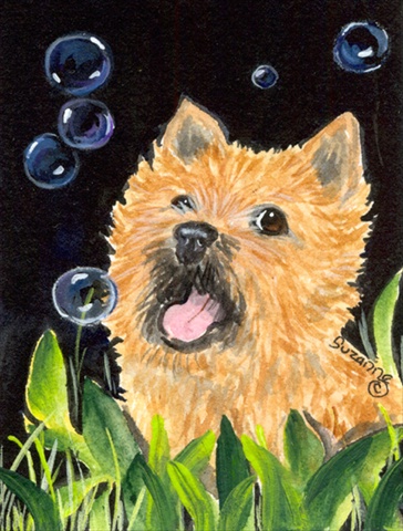 11 x 15 In. Cairn Terrier Flag, Garden Size
