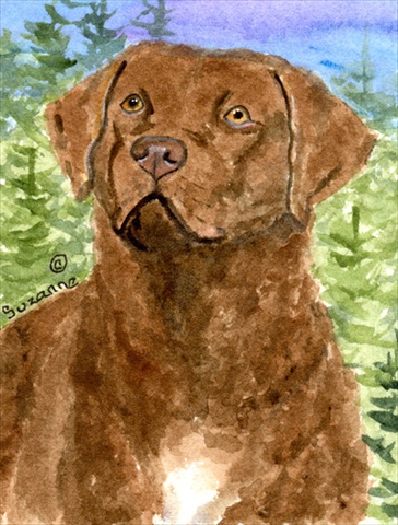 Picture of Carolines Treasures SS8933CHF 28 x 40 In. Chesapeake Bay Retriever Flag Canvas- House Size