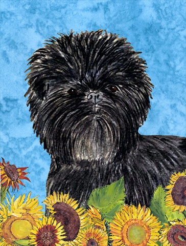 Picture of Carolines Treasures SS4144CHF 28 x 40 In. Affenpinscher Flag Canvas- House Size