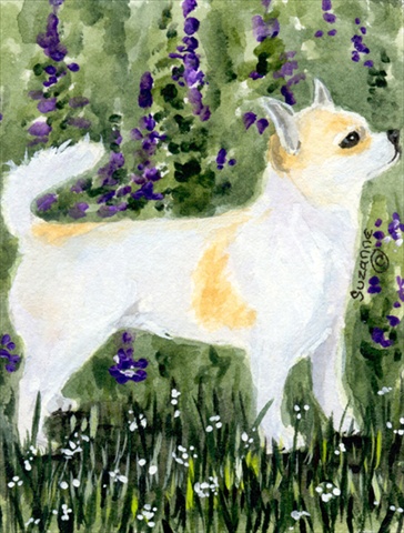 11 x 15 In. Chihuahua Flag, Garden Size
