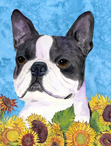 Picture of Carolines Treasures SS4149CHF 28 x 40 In. Boston Terrier Flag Canvas- House Size