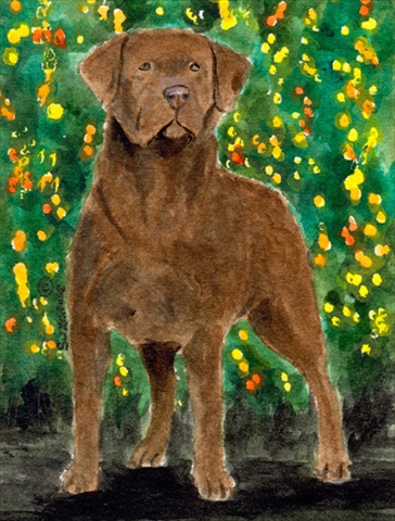 Picture of Carolines Treasures SS8969CHF 28 x 40 In. Chesapeake Bay Retriever Flag Canvas- House Size