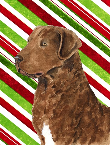 Picture of Carolines Treasures SS4600CHF 28 x 40 In. Chesapeake Bay Retriever Candy Cane Holiday Christmas Flag Canvas- House Size