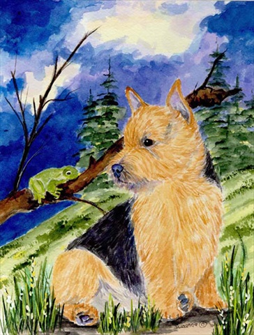 11 x 15 In. Norwich Terrier Flag, Garden Size