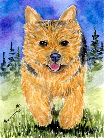 Norwich Terrier Flag Canvas - House Size