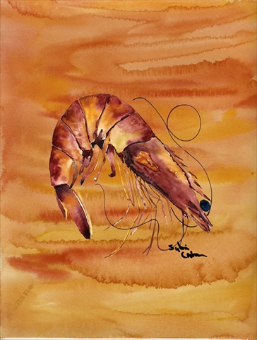 11 x 15 In. Shrimp Flag, Garden Size
