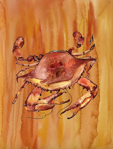 Crab Flag Canvas- House Size