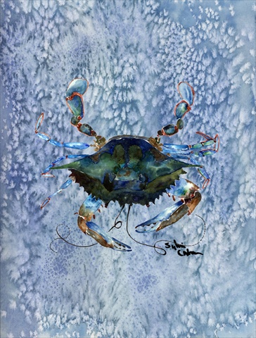 11 x 15 In. Crab Flag, Garden Size