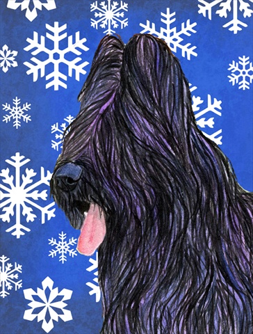 Picture of Carolines Treasures SS4627CHF 28 x 40 In. Briard Winter Snowflakes Holiday Flag Canvas- House Size
