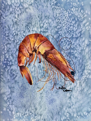 11 x 15 In. Shrimp Flag, Garden Size