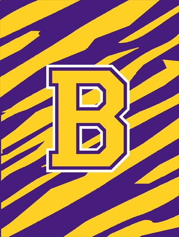 Tiger Stripe Purple Gold Letter B Monogram Initial Flag House Size