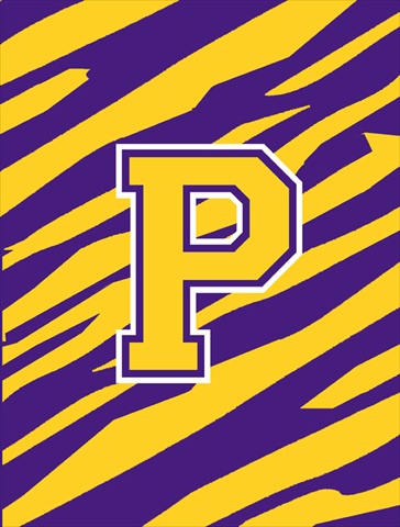 Tiger Stripe Purple Gold Letter P Monogram Initial Flag House Size