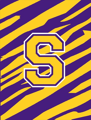 Tiger Stripe Purple Gold Letter S Monogram Initial Flag House Size