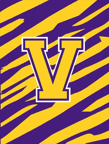 Tiger Stripe Purple Gold Letter V Monogram Initial Flag House Size