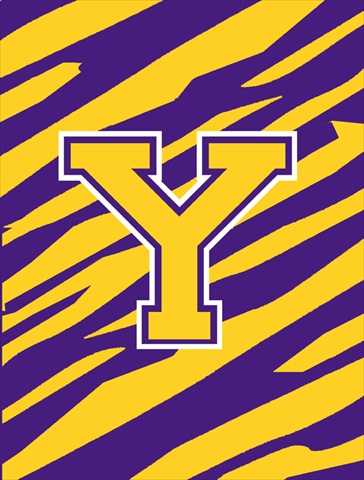 Tiger Stripe Purple Gold Letter Y Monogram Initial Flag Canvas House Size