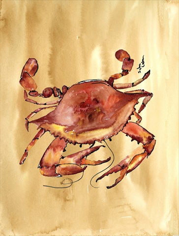 Crab Flag Canvas House Size