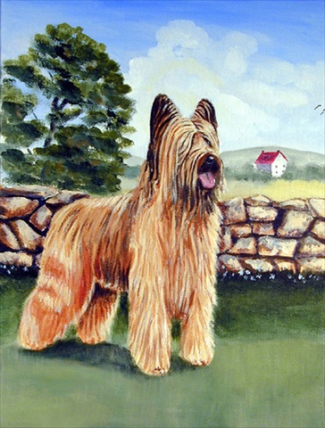 Briard By The Stone Fence Flag Canvas House Size