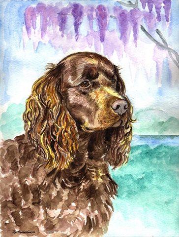 11 x 15 in. American Water Spaniel Flag Garden Size
