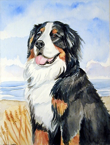 Bernese Mountain Dog Flag Canvas House Size