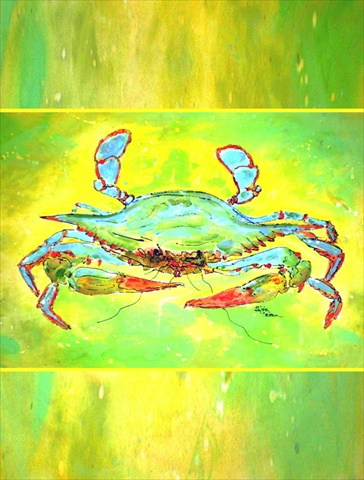 28 x 40 in. Crab Flag Canvas House Size