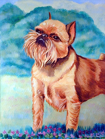 7016GF 11 x 15 in. Brussels Griffon Flag Garden Size