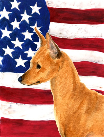 Usa American Flag With Min Pin Flag Canvas House Size