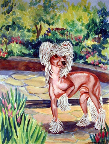 Chinese Crested On The Patio Flag Canvas House Size