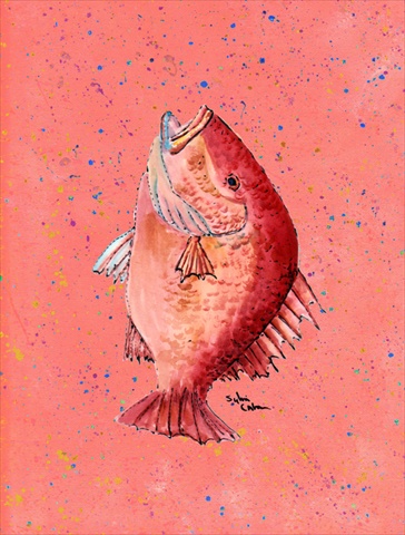 Fish Strawberry Snapper Flag Canvas House Size 28 x 40 in.