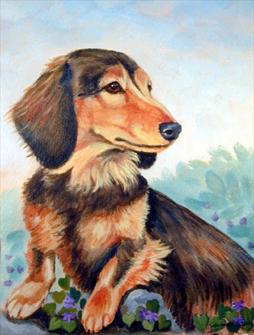 Dachshund Chocolate And Tan Long Haired Flag Canvas House Size