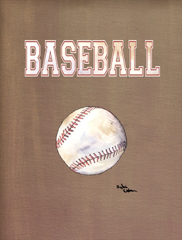 11 x 15 in. Baseball Flag Garden Size
