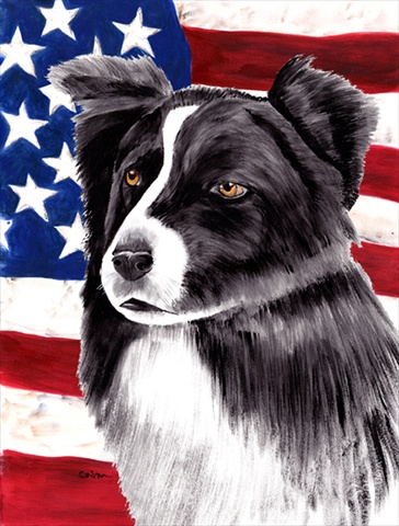 Usa American Flag With Border Collie Flag Canvas House Size