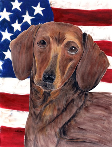 USA American Flag With Dachshund Flag Canvas House Size