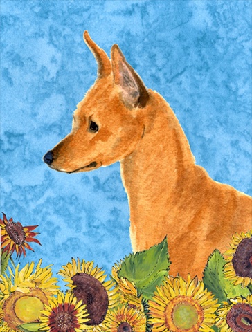 Min Pin Flag Garden Size