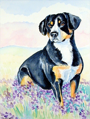 Entlebucher Mountain Dog Flag Canvas House Size