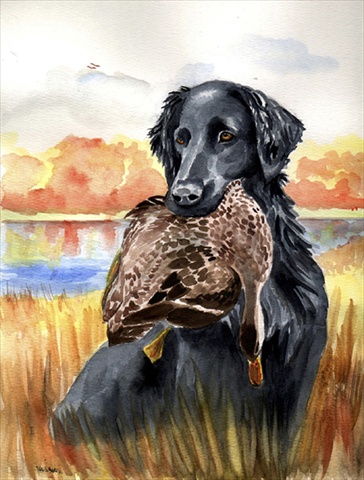 11 x 15 in. Flat Coated Retriever Flag Garden Size