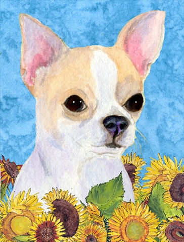 28 x 40 in. Chihuahua Flag Canvas House Size
