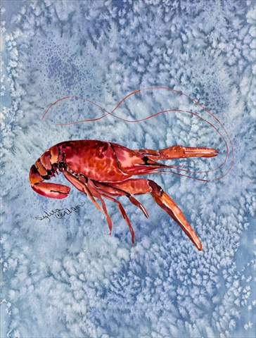 28 x 40 in. Crawfish Flag Canvas House Size