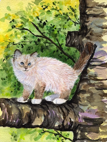 11 x 15 in. Cat - Birman Flag Garden Size