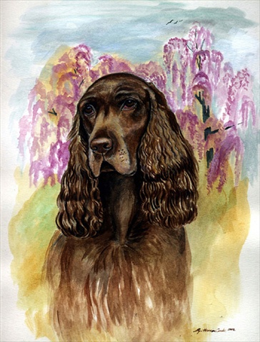 11 x 15 in. Field Spaniel Flag Garden Size