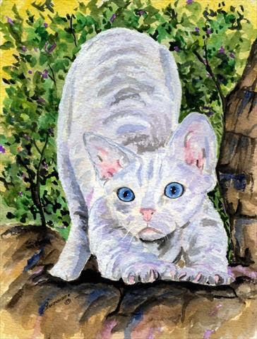 11 x 15 in. Cat - Devon Rex Flag Garden Size