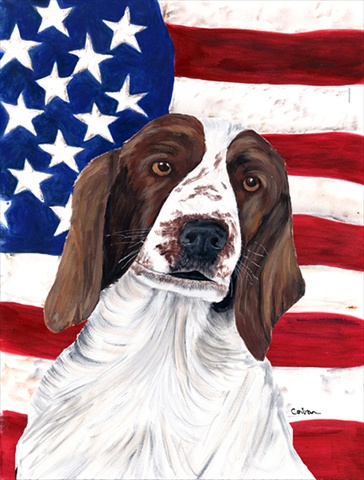 Usa American Flag With Welsh Springer Spaniel Flag Canvas House Size