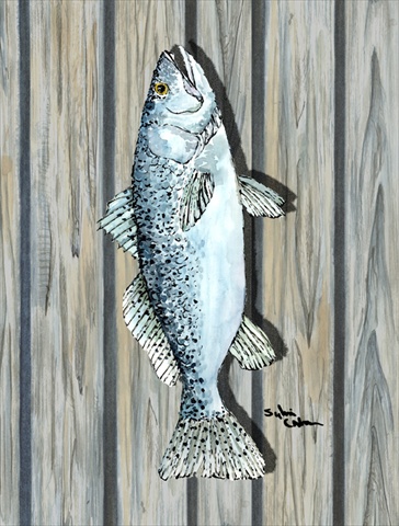 11 x 15 in. Fish Trout Flag Garden Size