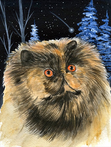 Starry Night Cat Persian Flag Canvas House Size