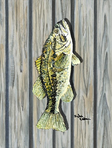 28 x 40 in. Fish Bass Flag Canvas House Size