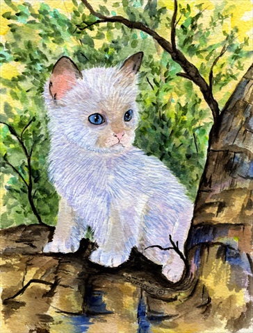 Cat Ragdoll Flag Canvas House Size