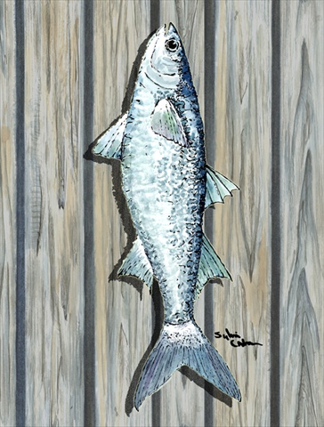 11 x 15 in. Fish Mullet Flag Garden Size