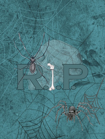 Rip Rest In Peace With Spider Web Halloween Flag Garden Size