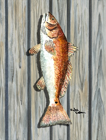 28 x 40 in. Fish Red Fish Flag Canvas House Size