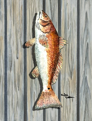 11 x 15 in. Fish Red Fish Flag Garden Size