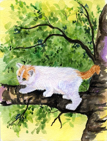 11 x 15 in. Cat Turkish Van Flag Garden Size